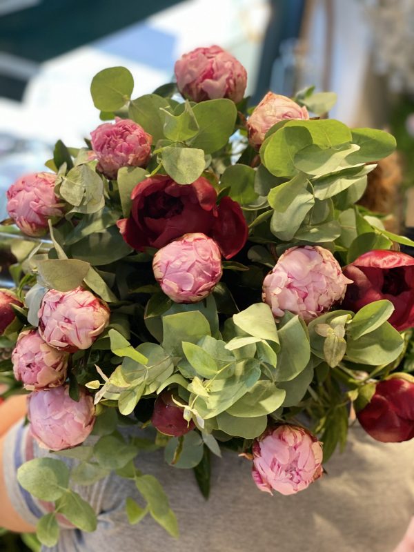 Pivoines