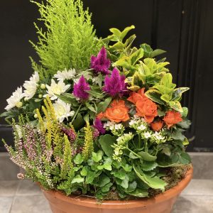 Coupe de plantes deuil