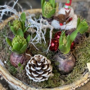 Composition Jacinthes