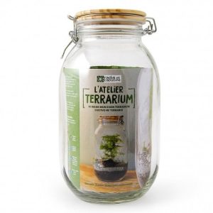 kit terrarium