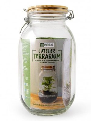 kit terrarium