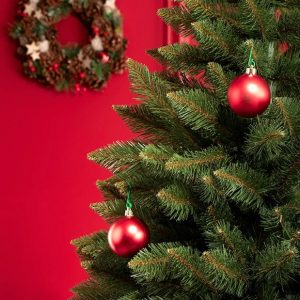 sapin de noel normann