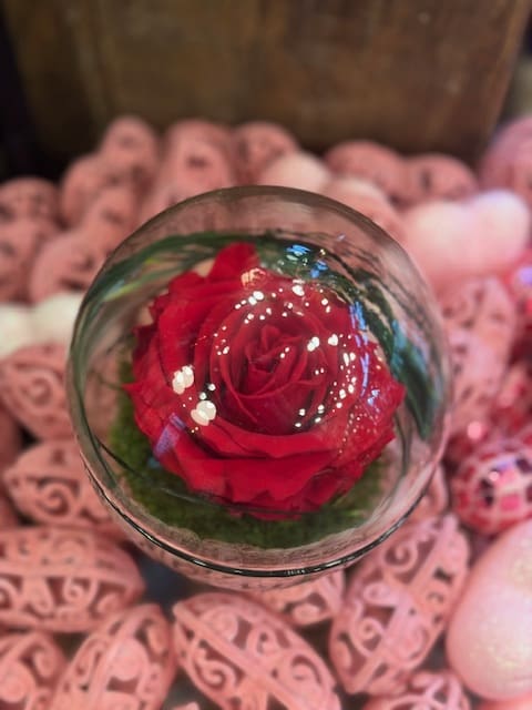 Amour Eternel – Image 3