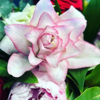 Jardin-Cosette-Fleuriste (7)