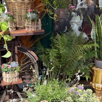 Jardin-Cosette-Fleuriste-atelier-floral